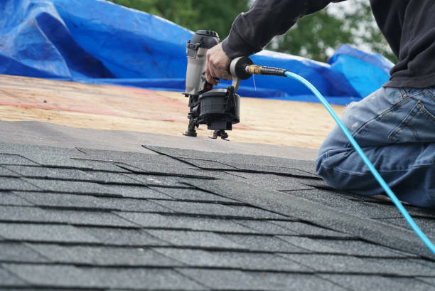 Best Roof Gutter Cleaning  in Broad Creek, NC