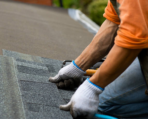 Best Roof Repair Services  in Broad Creek, NC