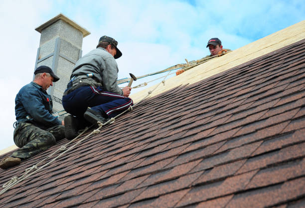Best New Roof Installation  in Broad Creek, NC